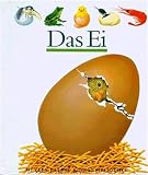 Amazon изображение на корицата
