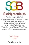 Sozialgesetzbuch (SGB): Allgemeiner Teil, Arbeitsförderung, Gem. Vorschriften, Kranken-, Renten- und Unfallversicherung, Kinder-/Jugendhilfe, ... Soz.-Verwaltungsverfahren, Pflegeversicherung