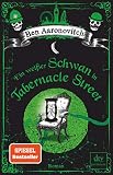Ein weißer Schwan in Tabernacle Street
