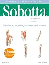 Atlas der Anatomie: Tabellen zu Muskeln, Gelenken und Nerven