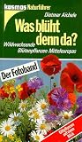 Amazon изображение на корицата