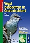 Vögel beobachten in Ostdeutschland: Die besten Beobachtungsgebiete zwischen Rügen und Thüringer Wald