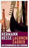 Lagunenzauber: Aufzeichnungen aus Venedig (insel taschenbuch)