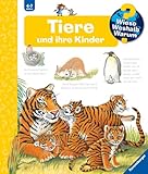 Cover von Amazon
