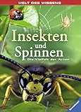 Cover von Amazon