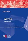 Novelle: Eine Einführung