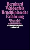 Bruchlinien der Erfahrung: Phänomenologie - Psychoanalyse - Phänomenotechnik (suhrkamp taschenbuch wissenschaft)