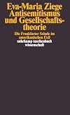 Antisemitismus und Gesellschaftstheorie: Die Frankfurter Schule im amerikanischen Exil (suhrkamp taschenbuch wissenschaft)