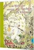 Amazon изображение на корицата