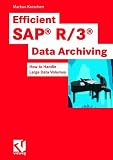 Efficient Sap R3data Archiving How To Handle Large Data Volumes