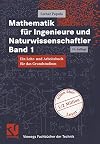Mathematik für Ingenieure und Naturwissenschaftler Band 1. Ein Lehr- und Arbeitsbuch für das Grundstudium