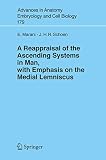 A Reappraisal Of The Ascending Systems In Man With Emphasis On The Medial Lemniscus Advances In Anatomy Embryology And Cell Biology