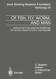 Of Fish Fly Worm And Man Lessons From Developmental Biology For Human Gene Function And Disease