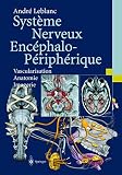 Systme Nerveux Encephalopriphrique Vascularisation Anatomie Imagerie