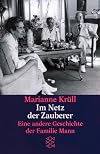 Im Netz der Zauberer. Eine andere Geschichte der Familie Mann.