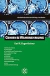Gehirn & Wahrnehmung