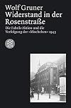 Widerstand in der Rosenstrasse : die Fabrik-Aktion und die Verfolgung der "Mischehen" 1943
