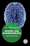 Gehirn und Wahrnehmung: Eine Einführung
