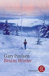 Brian's Winter by Gary Paulsen — book cover