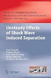 Unsteady Effects of Shock Wave induced Separation