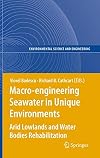 Macro-engineering seawater in unique environments arid lowlands and water bodies rehabilitation