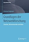 Grundlagen der netzwerkforschung : situation, mikronetzwerke und kultur