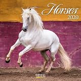 Horses 2020 Broschrenkalender Mit Ferienterminen Pferde Und Ponys