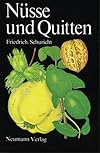 Nüsse und Quitten