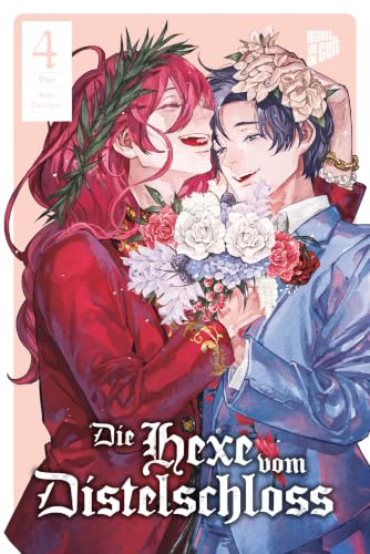 Die Hexe vom Distelschloss - Band 04