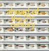 Ahead of the 21st century : the Pisces Collection