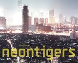Peter Bialobrzeski Neon Tigers Photographs