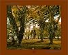 Peter Bialobrzeski: Paradise Now