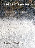 Sigalit Landau: Salt Years