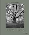 Olmsted Trees: Stanley Greenberg