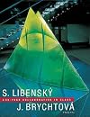 Stanislav Libensky and Jaroslava Brychotova: A 40 Year Collaboration in Glass (Art & Design)