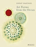 Art Forms From The Ocean The Radiolarian Atlas Of 1862
