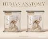 Human Anatomy: Stereoscopic Images of Medical Specimens