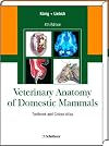 Veterinary Anatomy of Domestic Mammals: Textbook and Colour Atlas