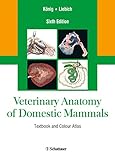 Veterinary Anatomy Of Domestic Mammals Textbook And Colour Atlas Sixth Edition