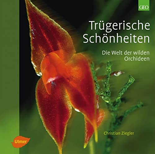 Trügerische Schönheiten – Die Welt der wilden Orchideen