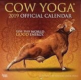 Cow Yoga Kuhjoga 2019 18monatskalender Original Browntroutkalender