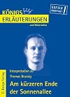 Königs Erläuterungen : Am kürzeren Ende der Sonnenallee