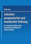 Zwischen pragmatischer und moralischer Ordnung: Der männliche Blick auf das Geschlechterverhältnis im Milieuvergleich (German Edition)