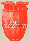 Karl Blossfeldt : 1865-1932 [Taschen Icons]