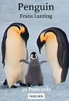 Taschen PostcardBook : Penguins
