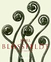 Karl Blossfeldt