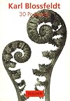 Karl Blossfeldt : 30 postcards