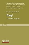 Fungi Lichens