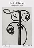 Karl Blossfeldt The Alphabet Of Plants