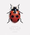 Bernard Durin: Beetles and Other Insects
